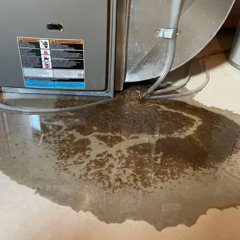 Appliance Leak Cleanup in Boyd County, NE